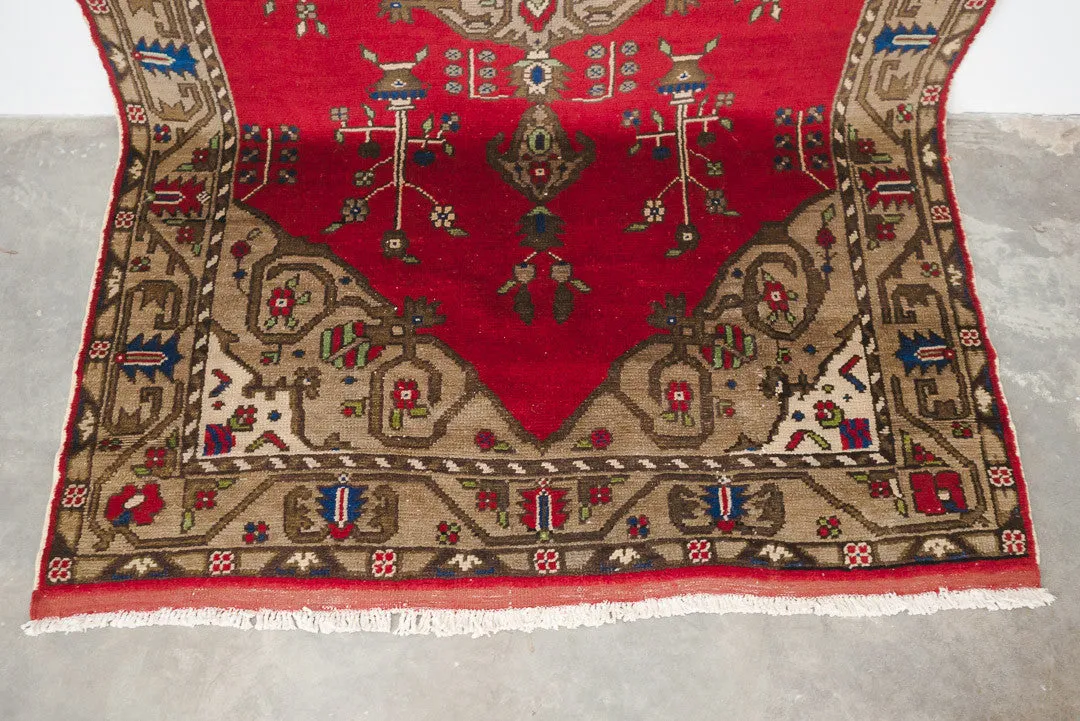 5x9 Turkish Rug | ALEYNA