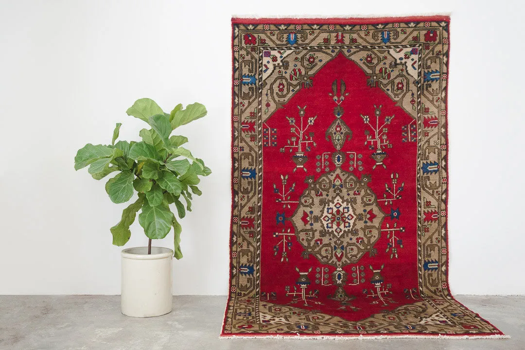 5x9 Turkish Rug | ALEYNA