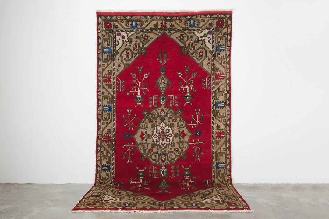 5x9 Turkish Rug | ALEYNA