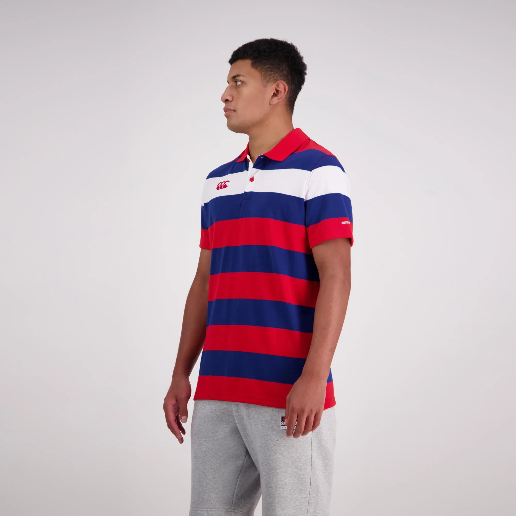 Engineered Stripe Polo - formula one