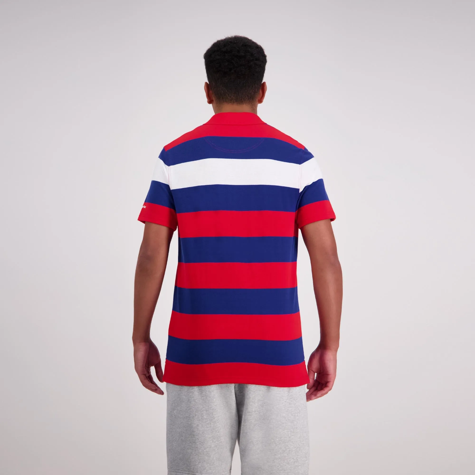 Engineered Stripe Polo - formula one