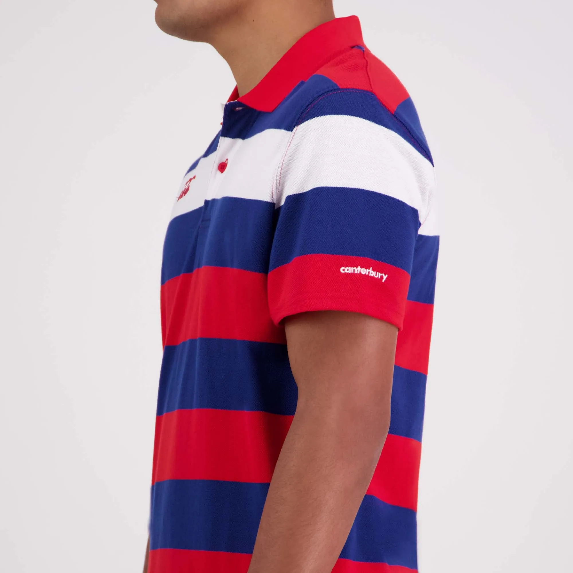 Engineered Stripe Polo - formula one