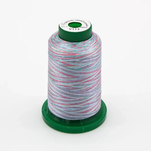 Exquisite Medley Variegated Thread - Carnival 1000M V113