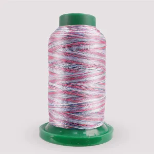 Exquisite Medley Variegated Thread - Carnival 1000M V113