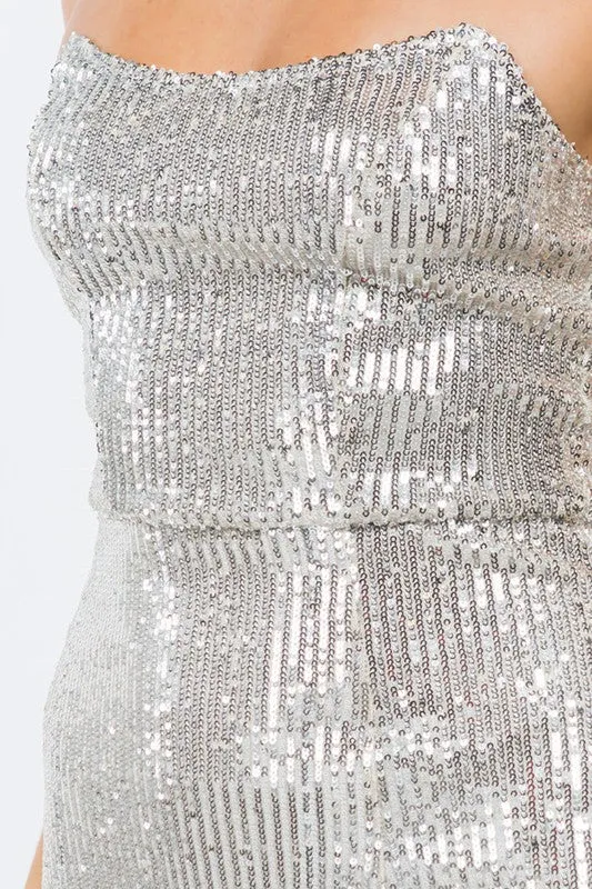 Pamela Silver Sequin Tube Mini Dress