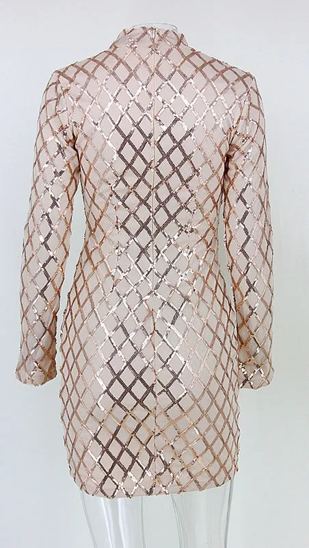 The Natalie Long Sleeved Criss Cross Sequin Turtleneck Dress Champagne