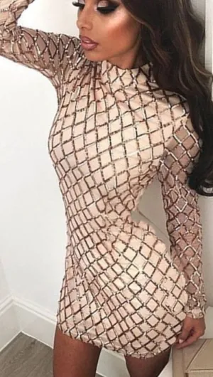 The Natalie Long Sleeved Criss Cross Sequin Turtleneck Dress Champagne